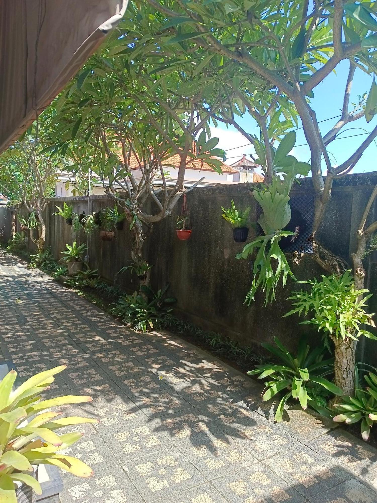 Taman Bali Homestay Sanur  Luaran gambar